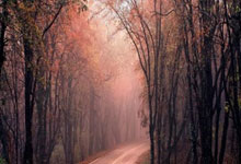 杜布33中11吞惨败：太阳距附加赛更远一步 下场将战火箭剑指3连败.