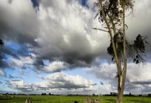 击败韩国名将！柯洁距改写中国围棋历史仅差一盘棋中新体坛.